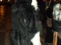 DSCF2821.JPG